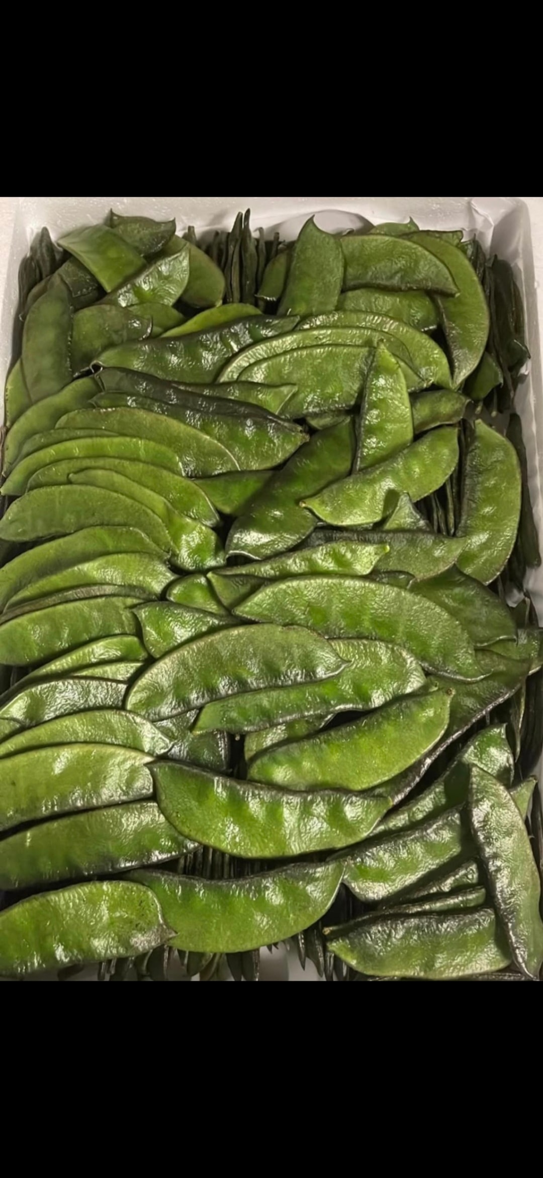 Fresh Vegetables sourced from Morocco